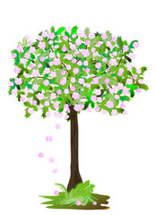 apple tree