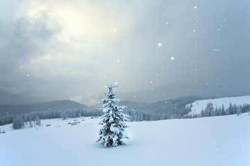 winter mountain landscape