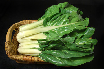 coste cesto
