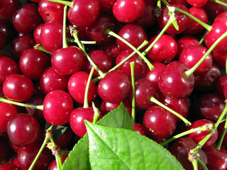 Cherries