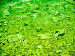 Sea bottom