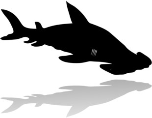 hammer fish silhouette vector isolated on white