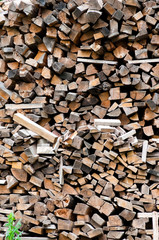 heap of firewoods  as background .