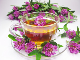 herbal tea with clover extract