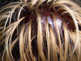 Naklejka premium Hair coloring