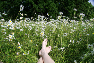 Füße in der Margeritenwiese