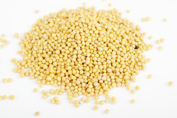Mustard seeds isolated on white