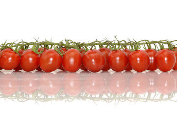 Tomaten am Strang