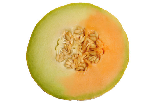 two-colored melon