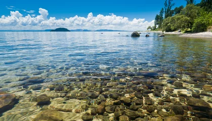 Foto op Canvas Lake Taupo © Dmitry Naumov