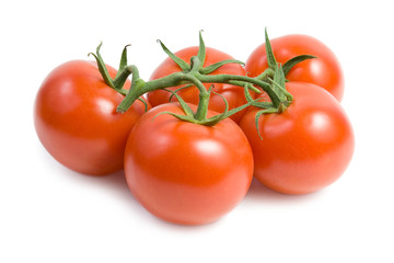 Red tomatoes