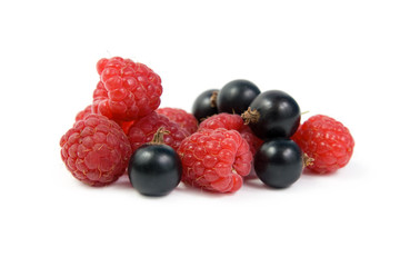 Black currant and raspberry