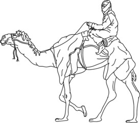 vector - bedouin riding a camel,isolated on background