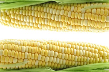 raw corn