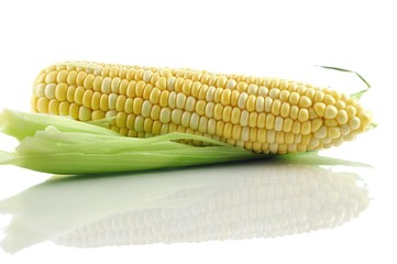 raw corn