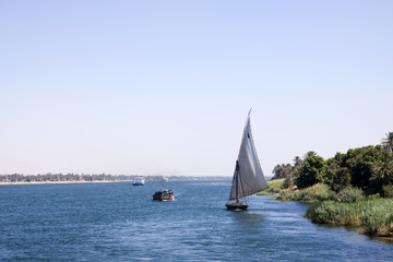 Fototapeta premium nile life