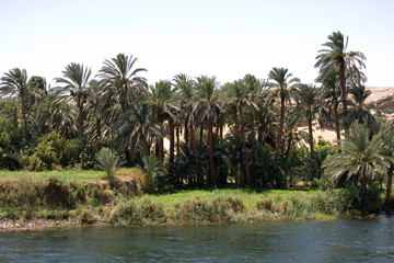 nile cruise