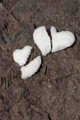 Two broken hearts from snow on rock