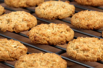 oatmeal cookies