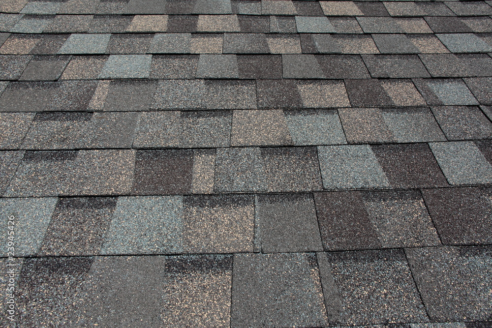 Wall mural asphalt roofing shingles