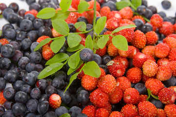 Wild strawberries and blueberries