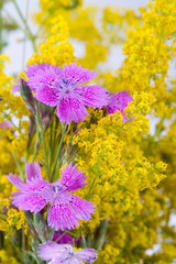 Obraz premium Beautiful bouquet of wild flowers