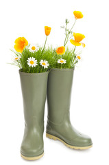 Wellington Boots