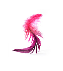 Feather