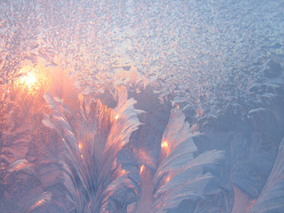 Fototapeta premium frost and sun