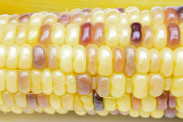 Corn