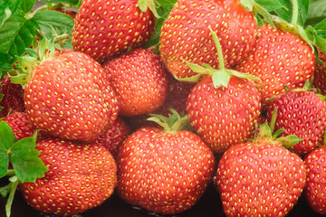 Fresh red strawberries