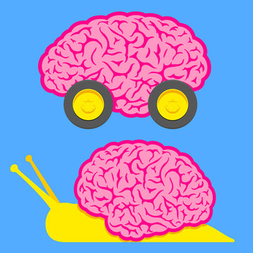 Fast brain on wheels and slow snail brain