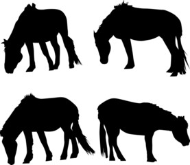 set of four horses