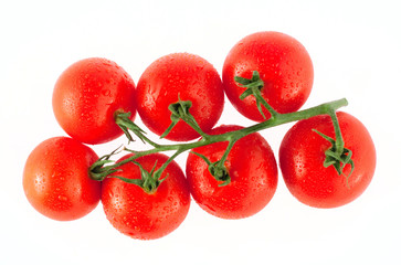Fresh tomatoes on the white background