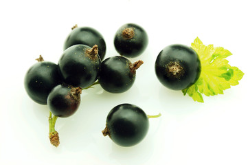 black currant