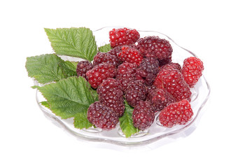 fresh tayberries on a glass plate