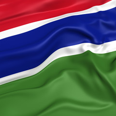 Gambia flag picture