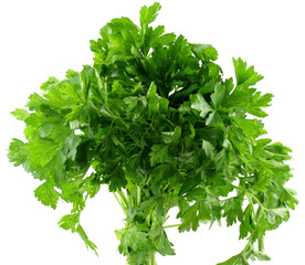 bouquet persil, fond blanc