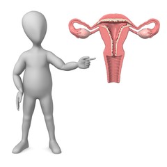 uterus