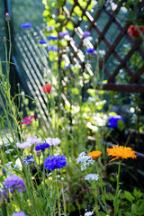 Erholungsraum eigener Garten