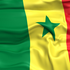 Senegal flag picture