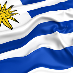 Uruguay flag picture