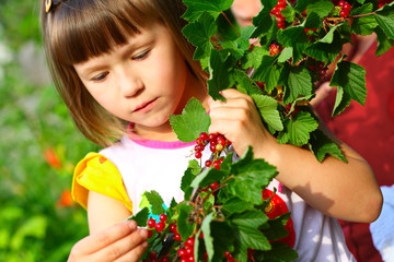 The child holds a branch with berries