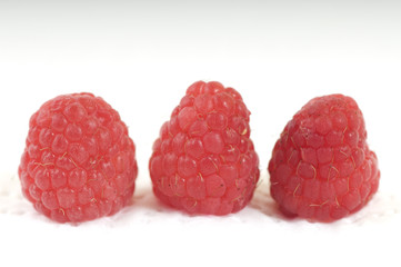 Raspberry fruits on white background