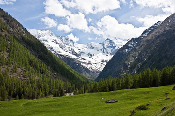 Fototapeta na wymiar Alpine panorama