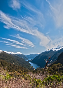 Viewpoint looking in the Doubtful Sound Valley in New Zealand.