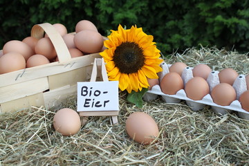 Bio Eier