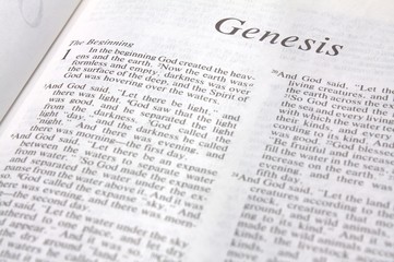 the book of genesis