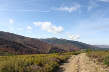 caminata montes de Burgos