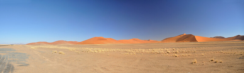 Fototapeta na wymiar Panoramique dune